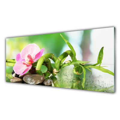 Image sur verre acrylique Pierres fleurs bambou nature vert rose gris