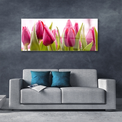 Image sur verre acrylique Tulipes floral rouge