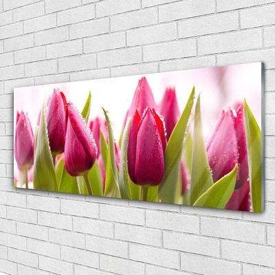 Image sur verre acrylique Tulipes floral rouge