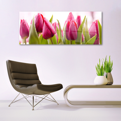 Image sur verre acrylique Tulipes floral rouge