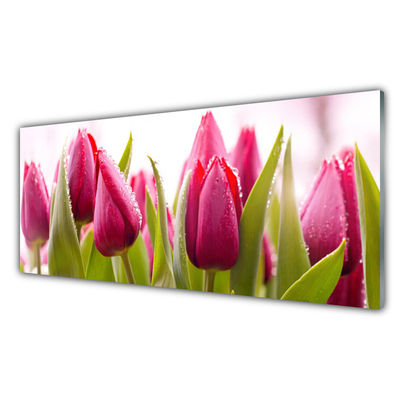 Image sur verre acrylique Tulipes floral rouge