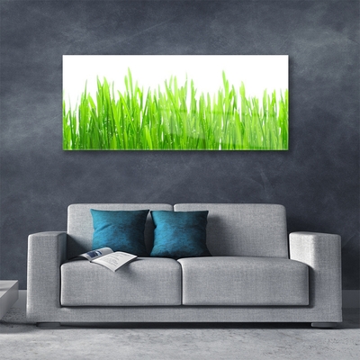 Image sur verre acrylique Herbe nature vert