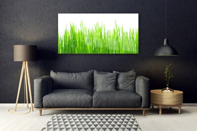 Image sur verre acrylique Herbe nature vert