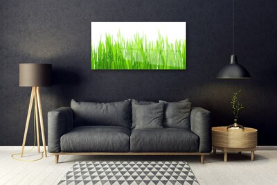 Image sur verre acrylique Herbe nature vert