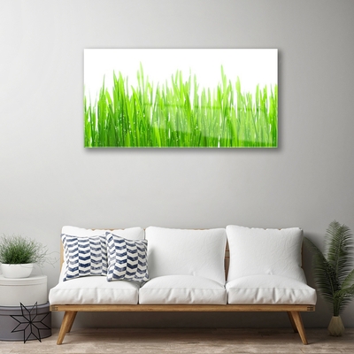 Image sur verre acrylique Herbe nature vert