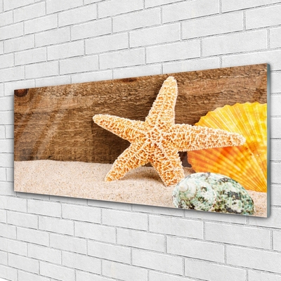 Image sur verre acrylique Coquilles étoiles de mer sable art brun jaune gris