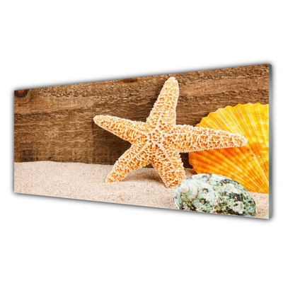 Image sur verre acrylique Coquilles étoiles de mer sable art brun jaune gris
