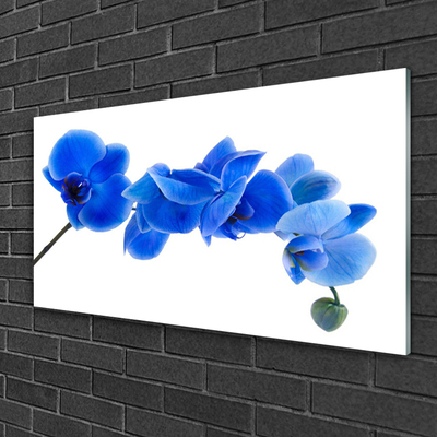 Image sur verre acrylique Fleur floral bleu