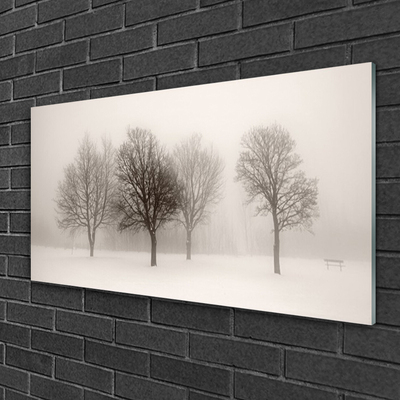 Image sur verre acrylique Arbres neige paysage blanc brun