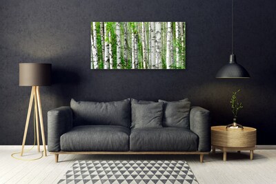 Image sur verre acrylique Forêt nature noir blanc vert