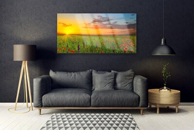 Image sur verre acrylique Fleurs prairie soleil nature jaune vert rouge violet