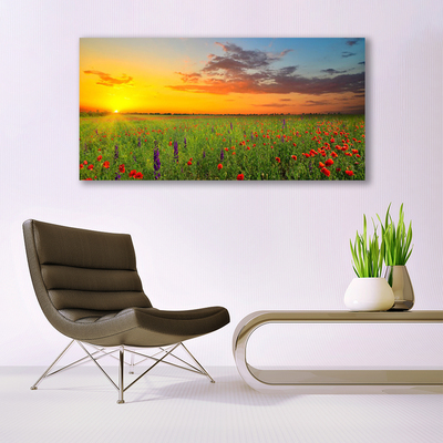 Image sur verre acrylique Fleurs prairie soleil nature jaune vert rouge violet