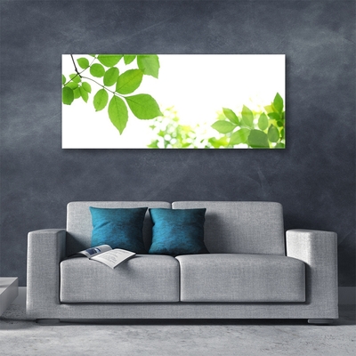 Image sur verre acrylique Fleurs feuilles floral blanc vert