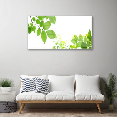 Image sur verre acrylique Fleurs feuilles floral blanc vert