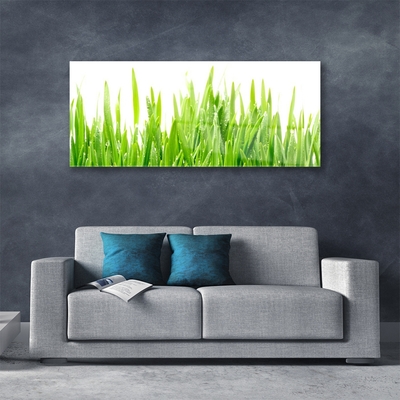 Image sur verre acrylique Herbe nature vert