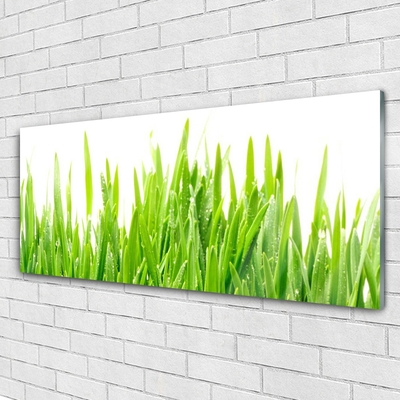 Image sur verre acrylique Herbe nature vert