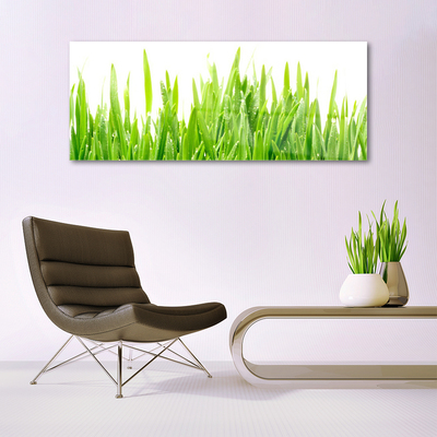 Image sur verre acrylique Herbe nature vert