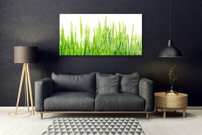 Image sur verre acrylique Herbe nature vert