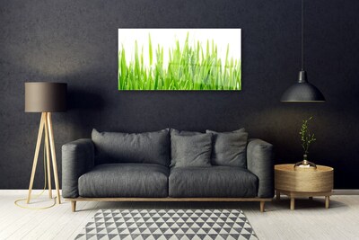 Image sur verre acrylique Herbe nature vert