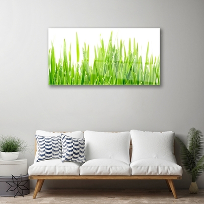 Image sur verre acrylique Herbe nature vert