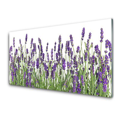 Image sur verre acrylique Fleurs floral violet