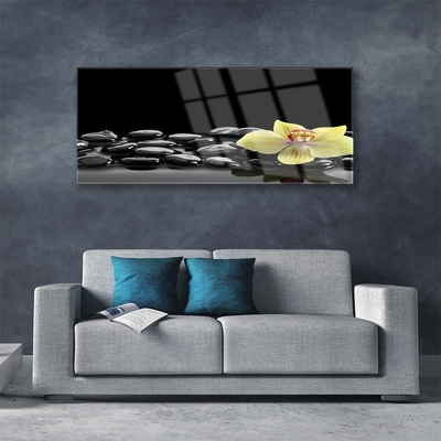 Image sur verre acrylique Pierres fleurs cuisine jaune noir