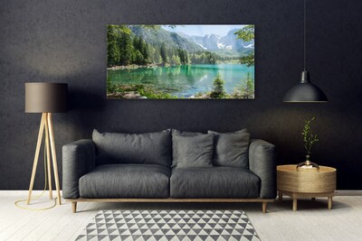 Image sur verre acrylique Montagnes lac forêt nature gris vert bleu