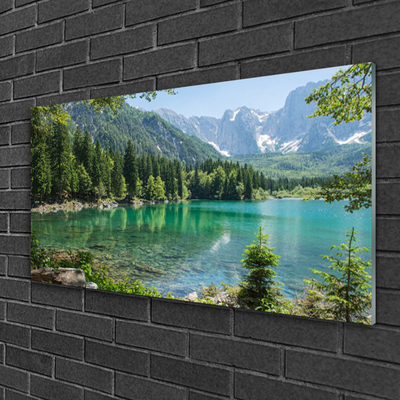 Image sur verre acrylique Montagnes lac forêt nature gris vert bleu