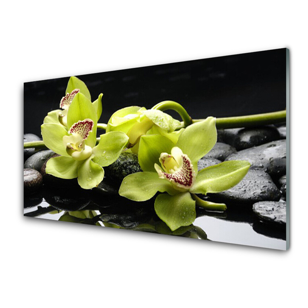 Image sur verre acrylique Pierres fleurs floral vert noir