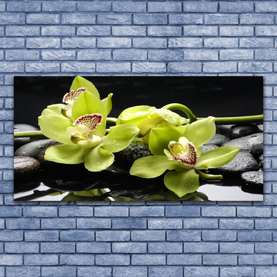 Image sur verre acrylique Pierres fleurs floral vert noir