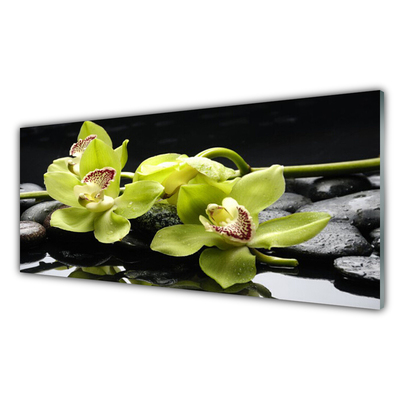 Image sur verre acrylique Pierres fleurs floral vert noir