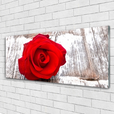 Image sur verre acrylique Rose floral rouge