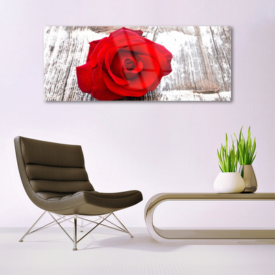 Image sur verre acrylique Rose floral rouge