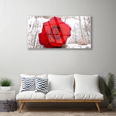 Image sur verre acrylique Rose floral rouge