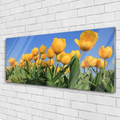 Image sur verre acrylique Tulipes floral jaune