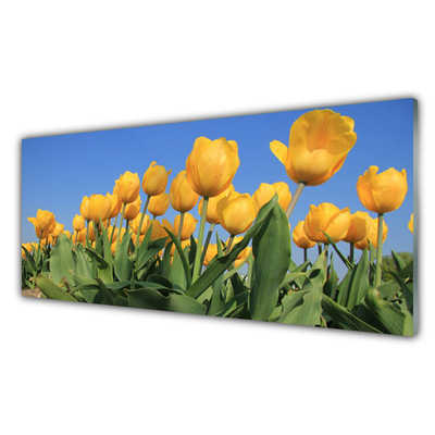 Image sur verre acrylique Tulipes floral jaune