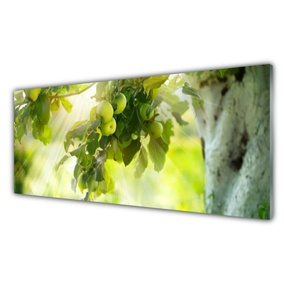 Image sur verre acrylique Pommes branche cuisine vert brun