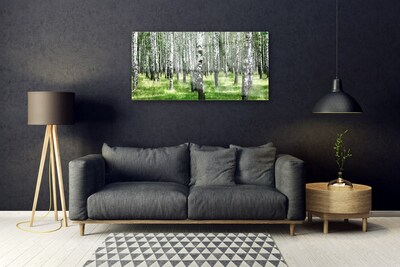 Image sur verre acrylique Forêt nature noir blanc vert