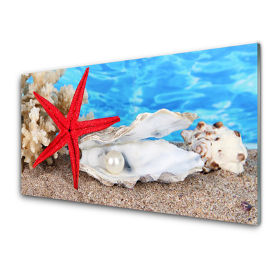 Image sur verre acrylique Étoile de mer coquilles nature rouge blanc