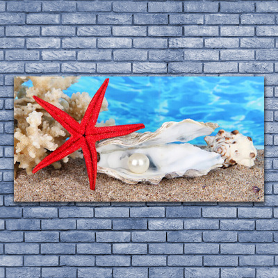 Image sur verre acrylique Étoile de mer coquilles nature rouge blanc
