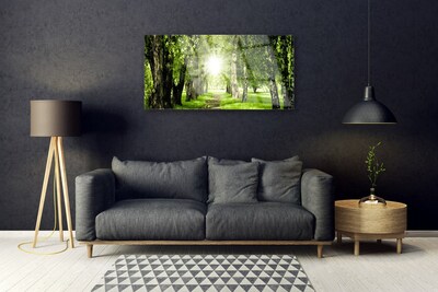 Image sur verre acrylique Forêt sentier soleil nature brun vert jaune