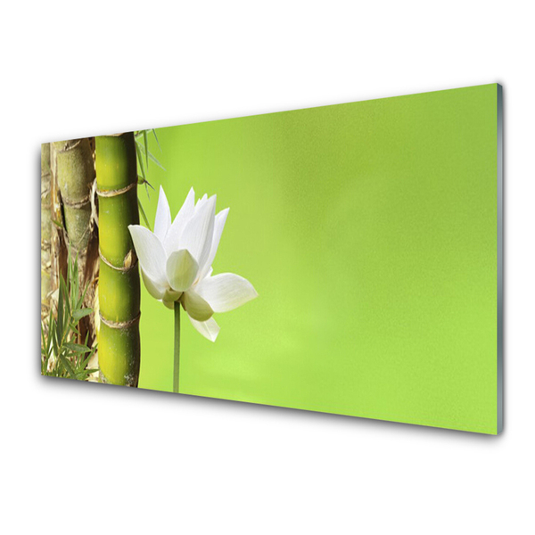 Image sur verre acrylique Fleur bambou floral vert blanc