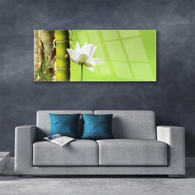 Image sur verre acrylique Fleur bambou floral vert blanc