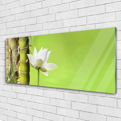 Image sur verre acrylique Fleur bambou floral vert blanc