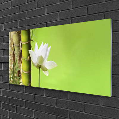 Image sur verre acrylique Fleur bambou floral vert blanc