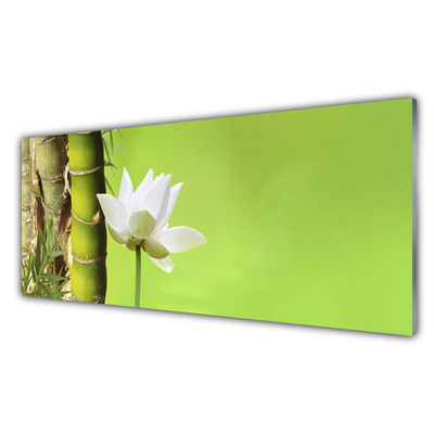 Image sur verre acrylique Fleur bambou floral vert blanc