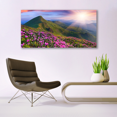 Image sur verre acrylique Montagnes prairie fleurs paysage bleu vert rose