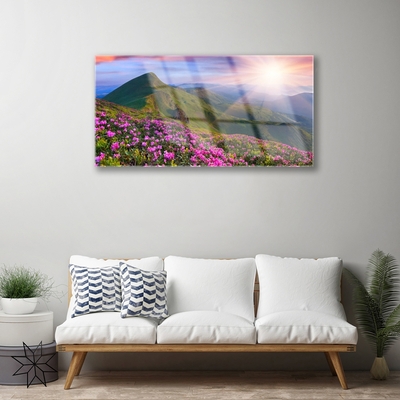 Image sur verre acrylique Montagnes prairie fleurs paysage bleu vert rose