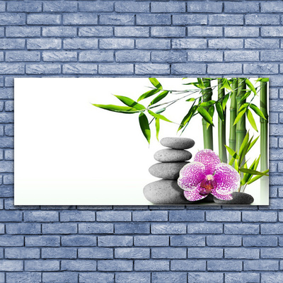 Image sur verre acrylique Bambou pierres fleurs floral vert rose gris