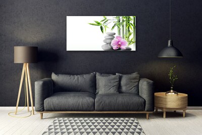 Image sur verre acrylique Bambou pierres fleurs floral vert rose gris